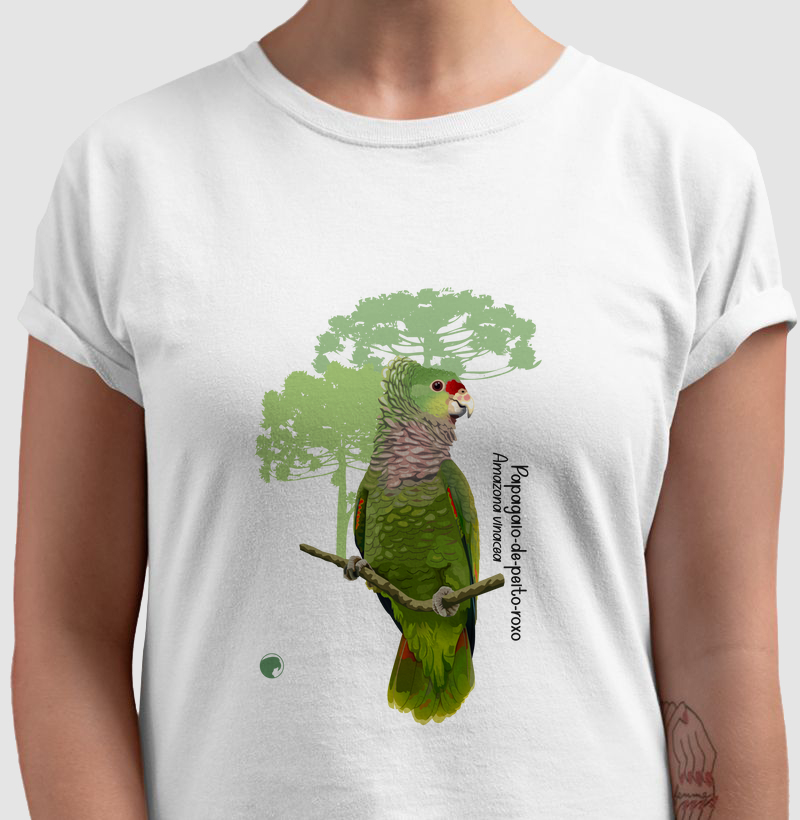 Papagaio-de-peito-roxo (cores claras)