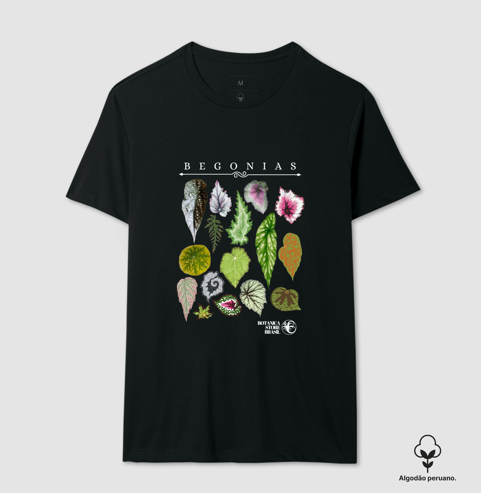 Begonias I