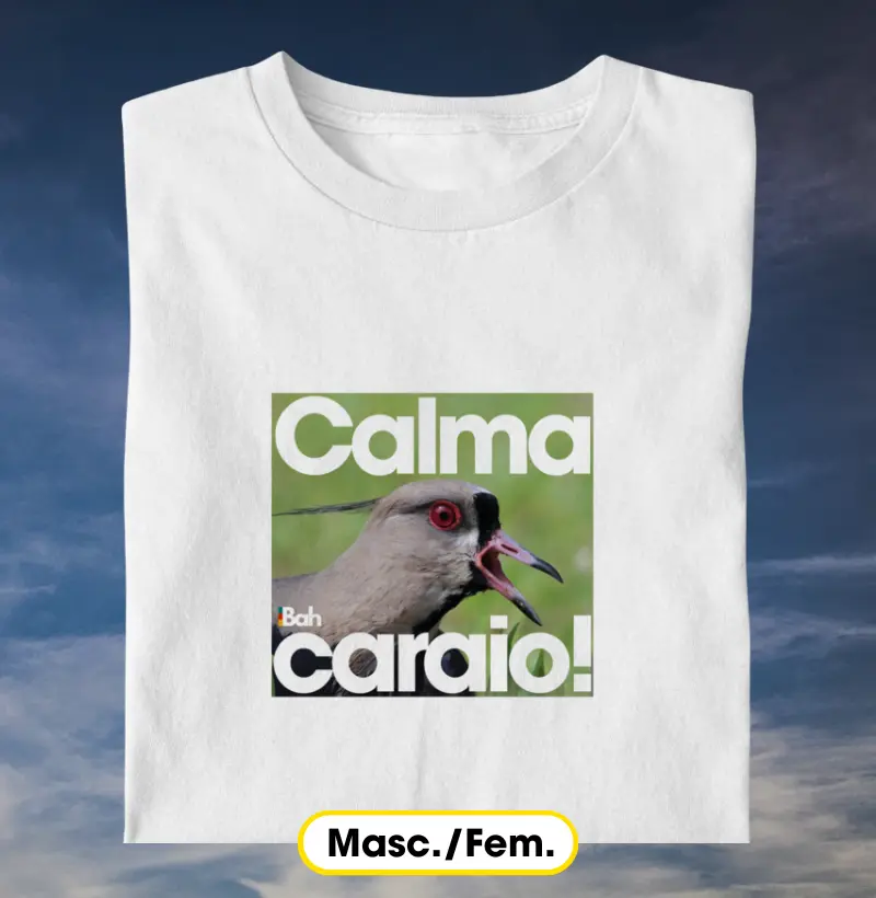 Calma caraio