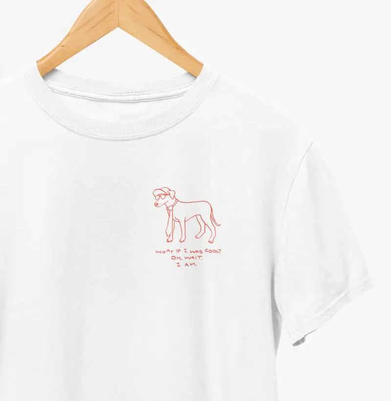 What if I Was Cool? - Laranja