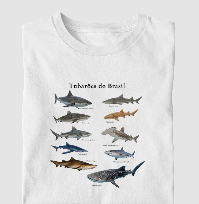 Tubarões do Brasil