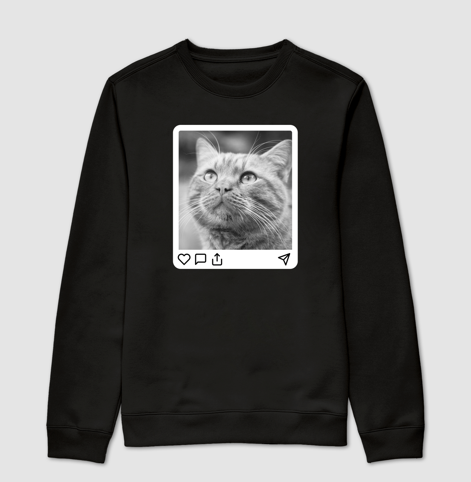 Purrfect Post - Opção Orange Cat