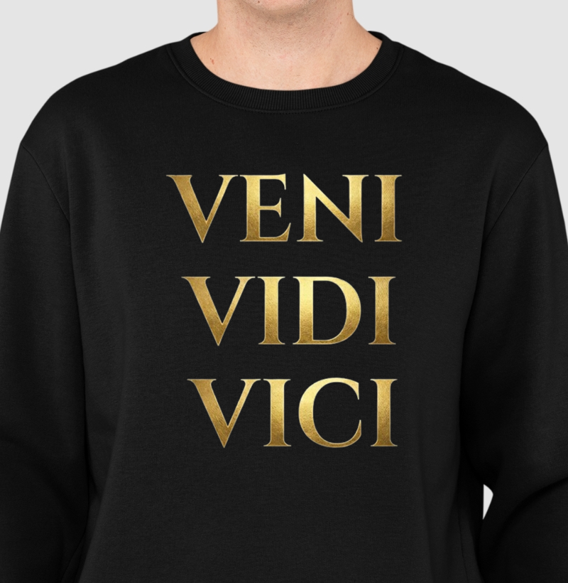 VENI VIDI VICI