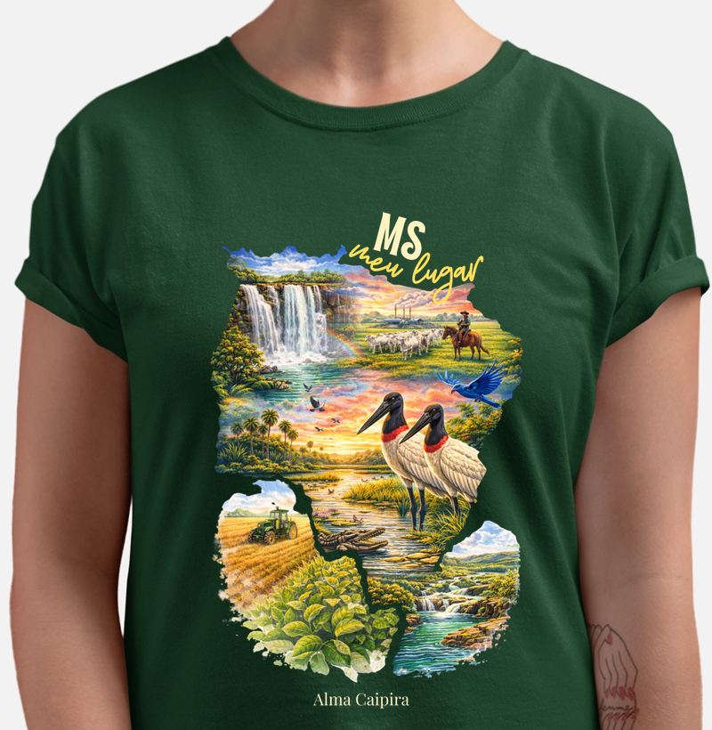 MS meu lugar_2