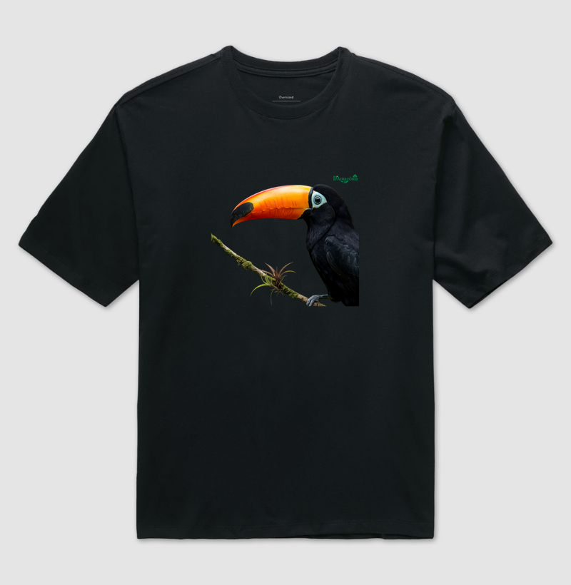Tucano-Toco