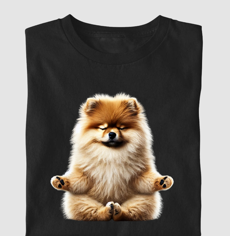 Spitz Alemão Meditando