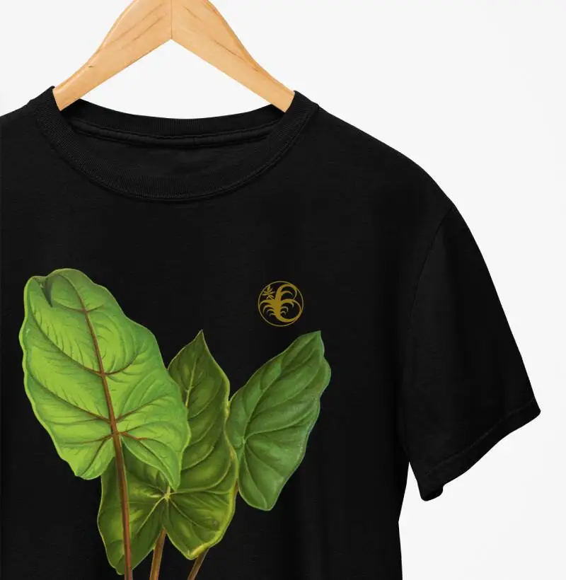 COLOCASIA DEVANSAYANA