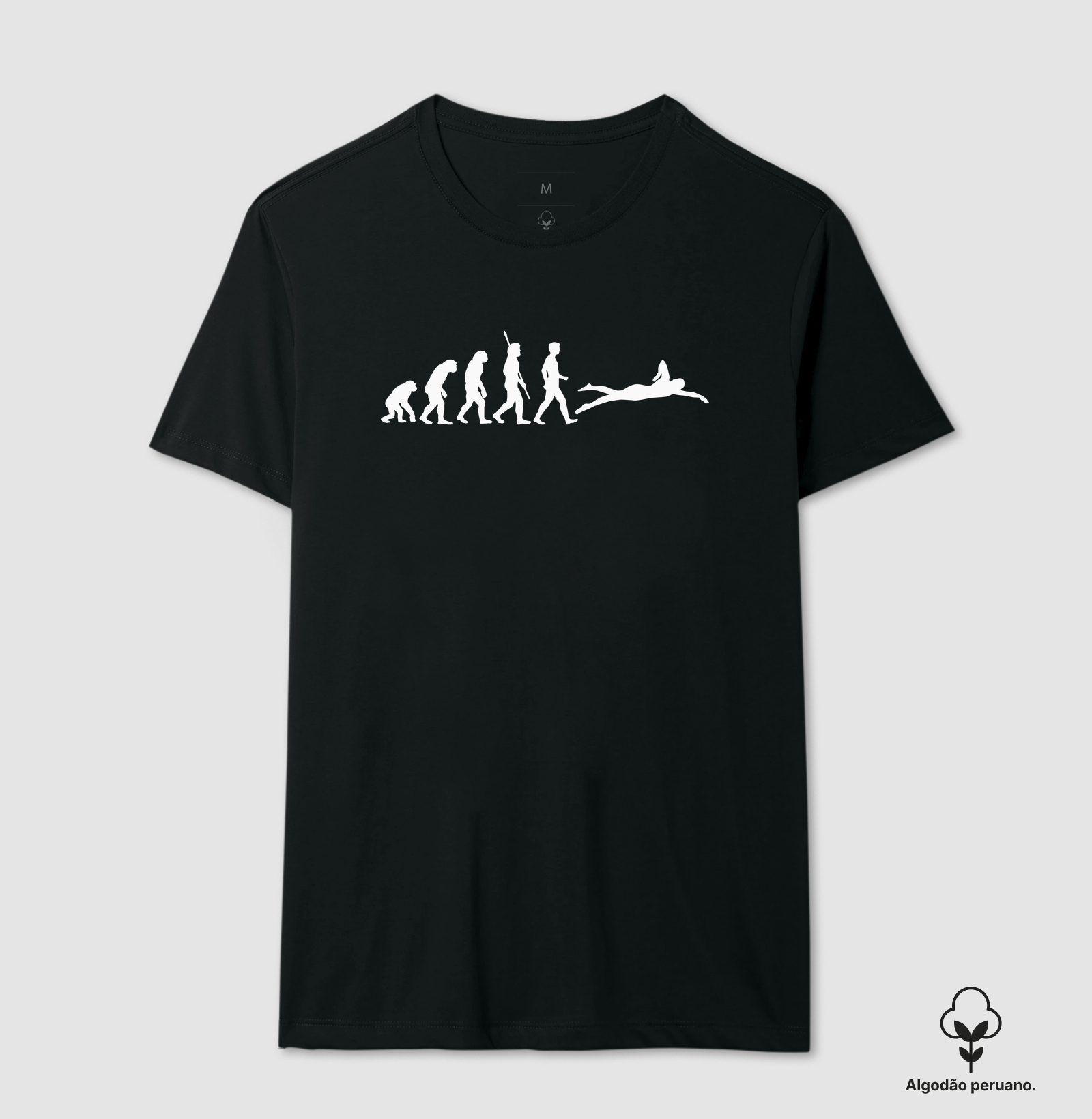 Evolução V2