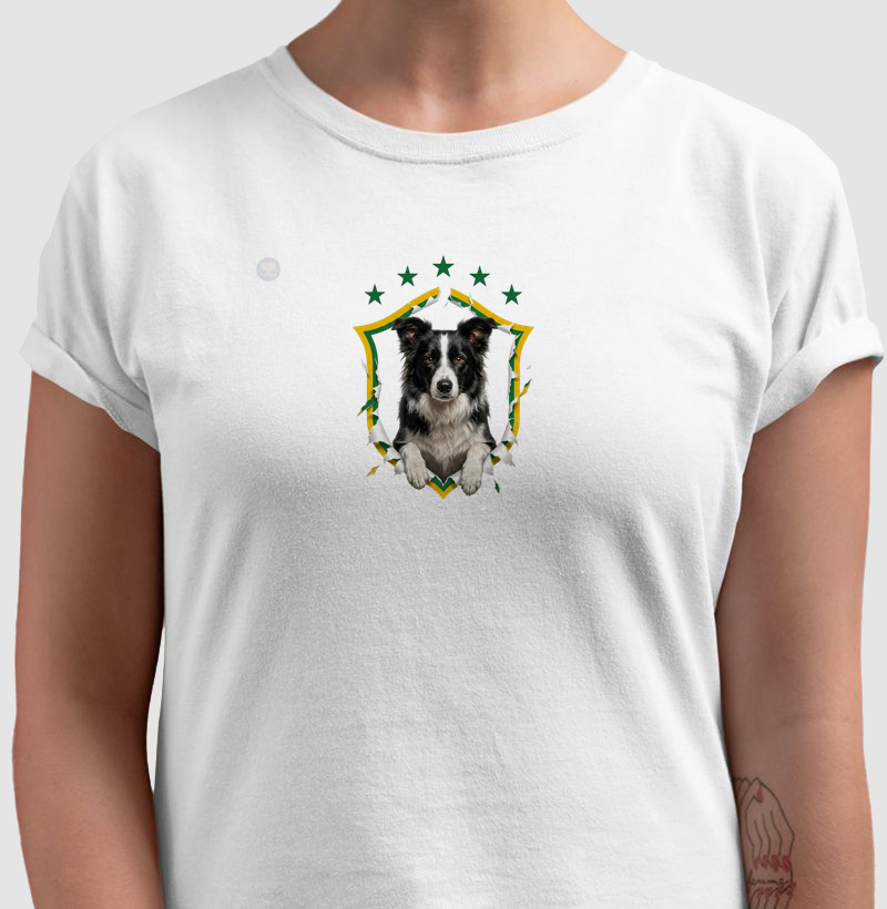 Boder Collie Brasil