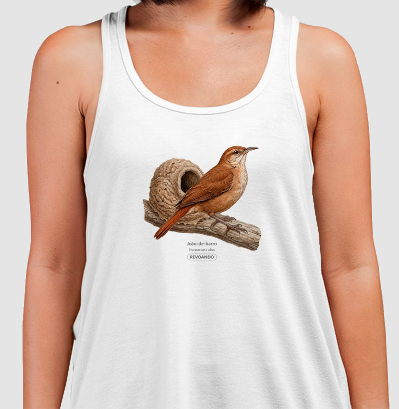 Traços Alados - João-de-barro - Regata