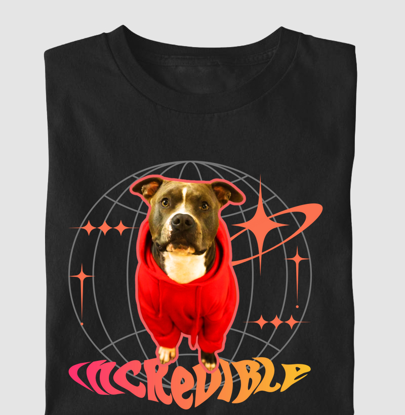 Pitbull Streetwear incredible