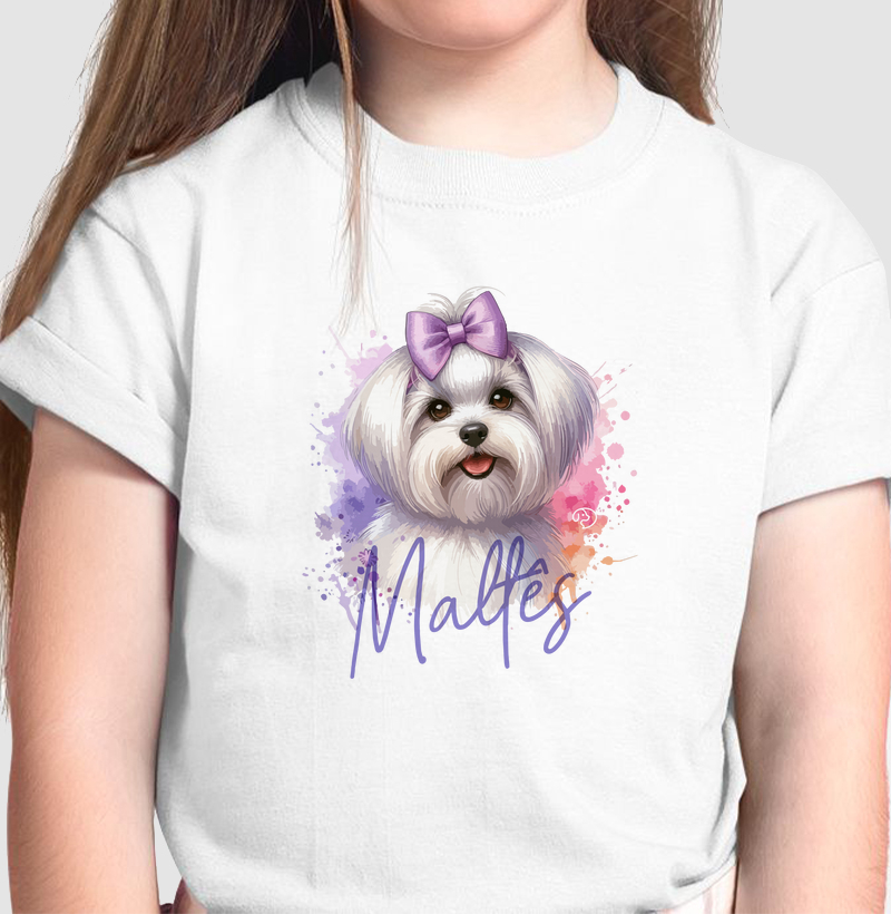 Maltês Fêmea Splash