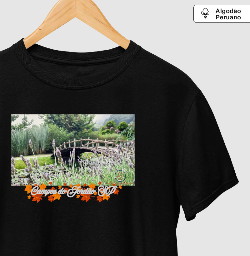 Campos do Jordão SP (tela)