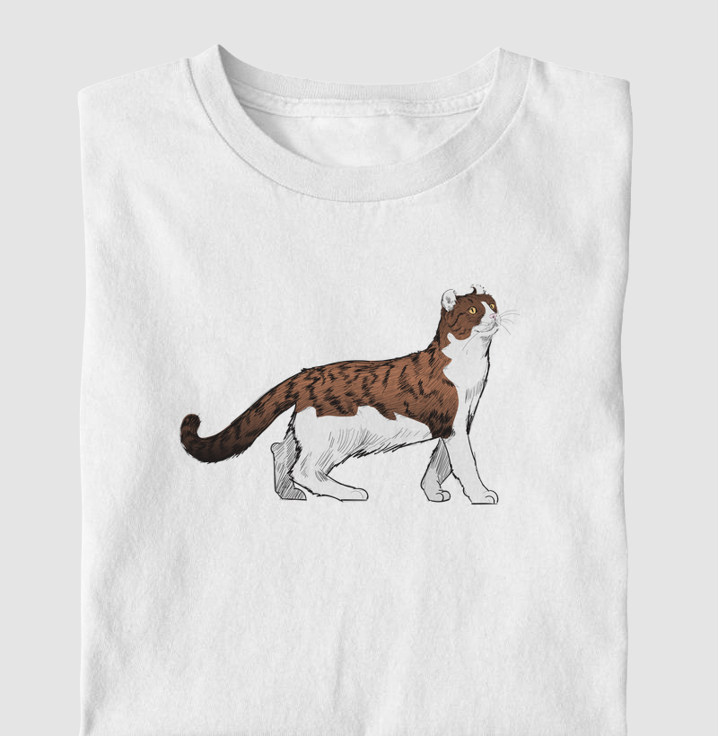 American Curl