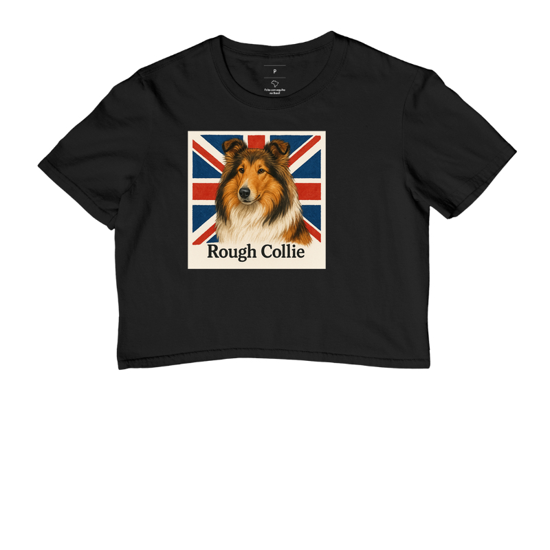 Rough Collie 02