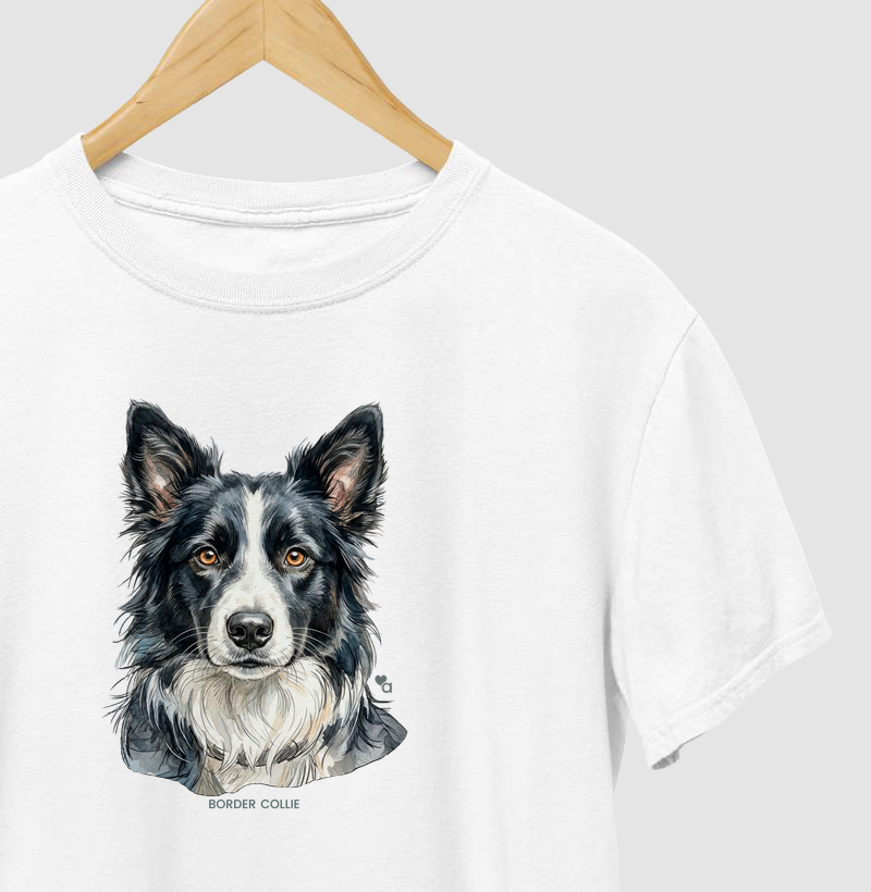 Cães - Border Collie