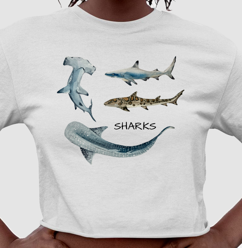 The Sharks