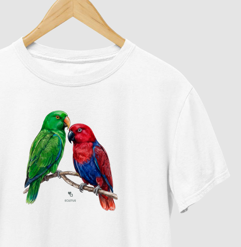 Aves - Casal Ecletus