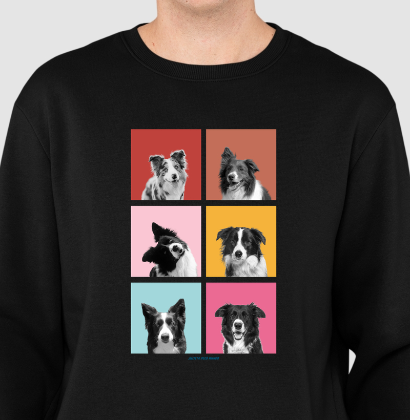 Faces Border Collie