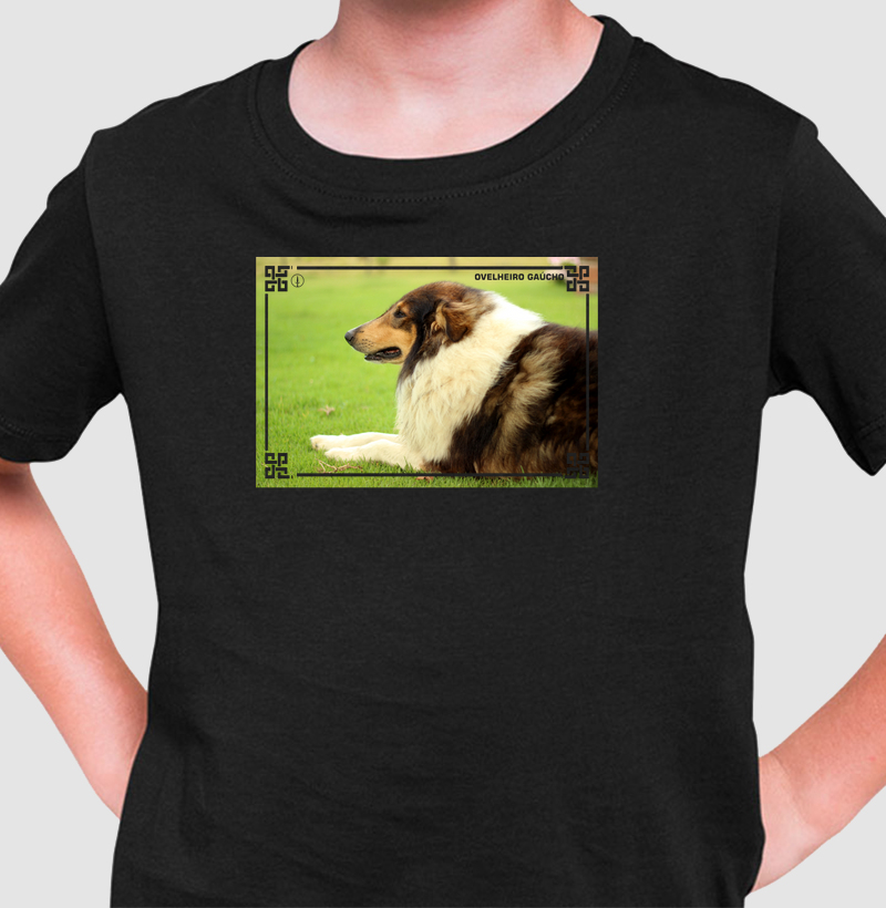 Ovelheiro Gaúcho - Color 2