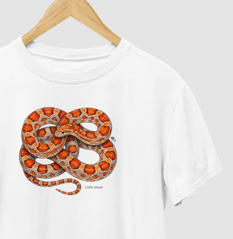Répteis - Corn Snake