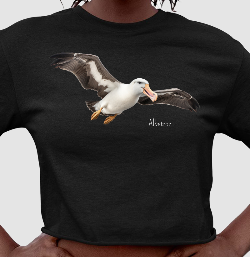 Albatroz