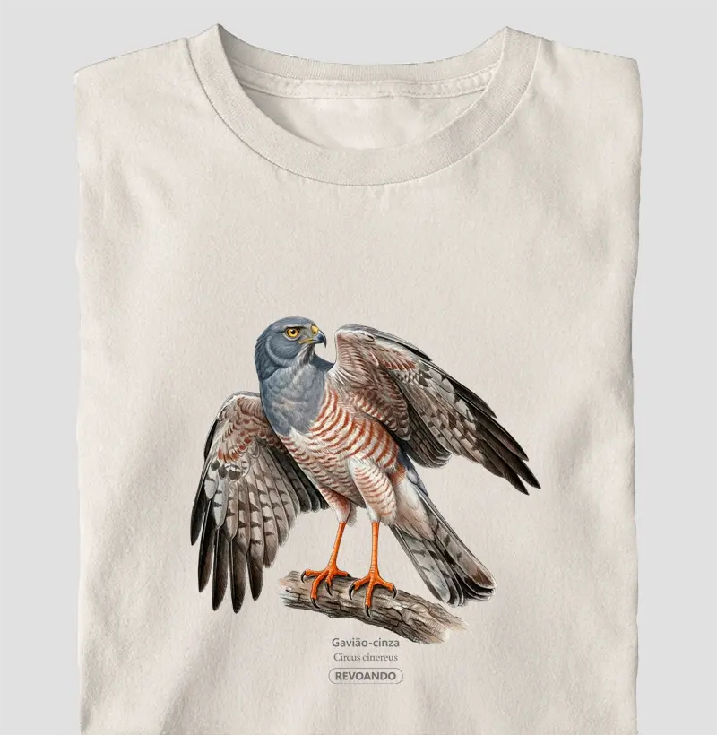 Traços Alados - Gavião-cinza - Oversized