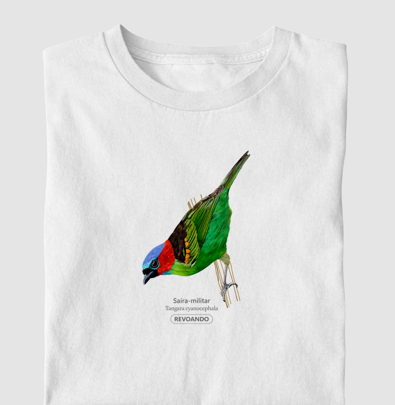 Cores Aladas - Saíra-militar