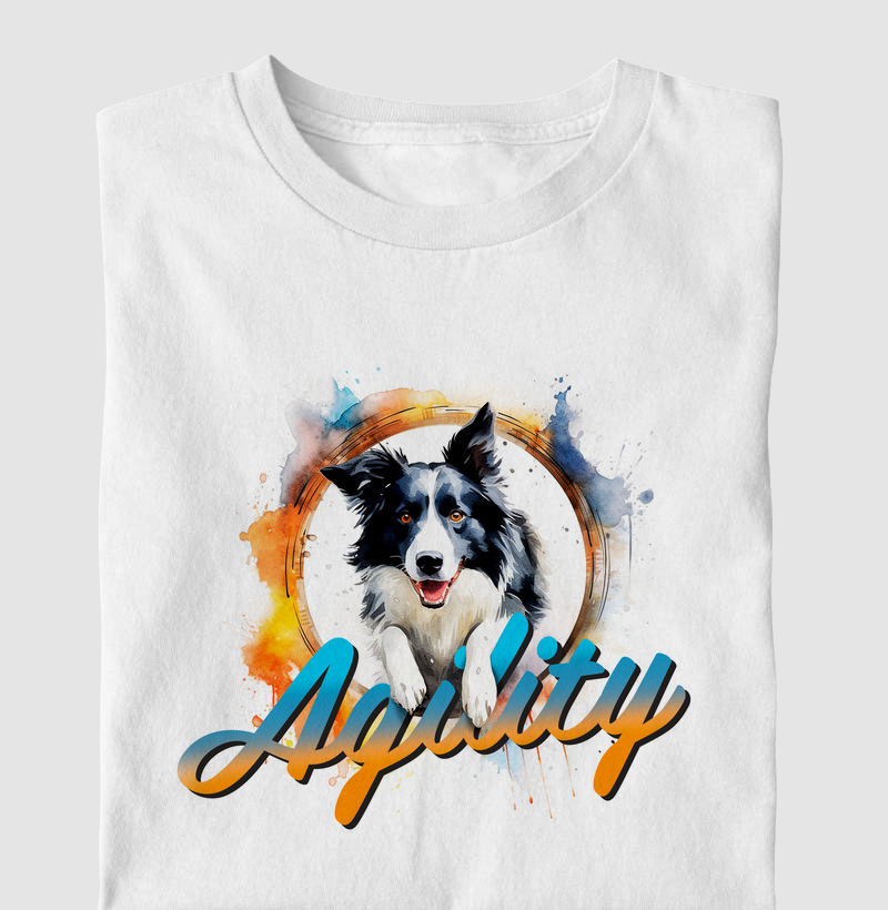 Border Collie Agility