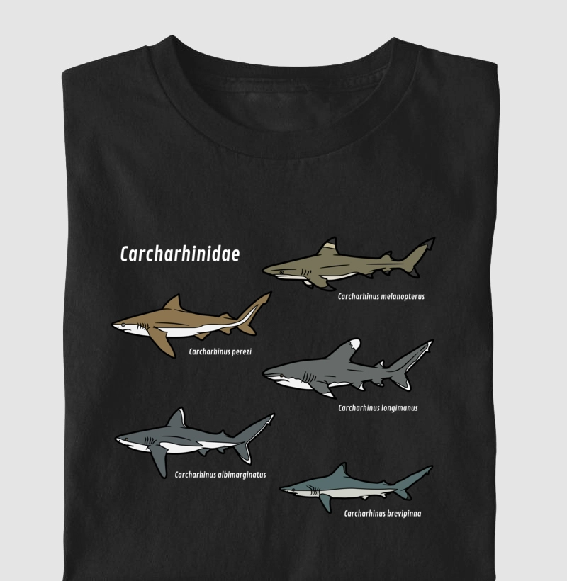 Carcharhinidae