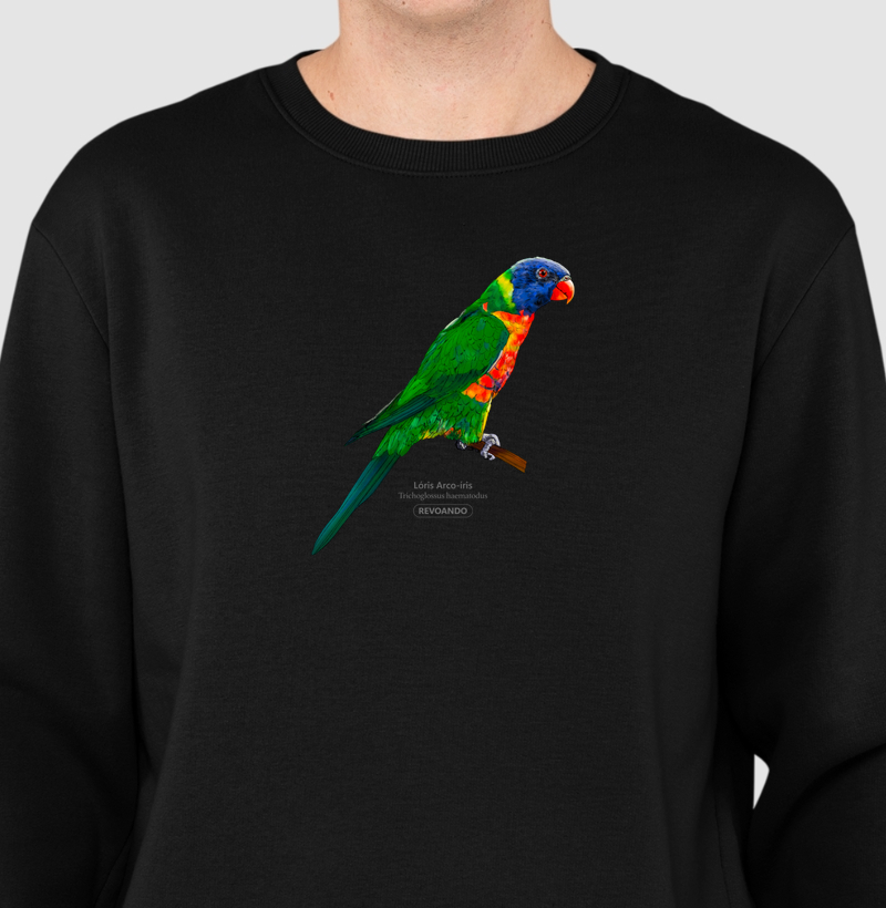 Love Friends - Loris Arco-Íris - Moletom