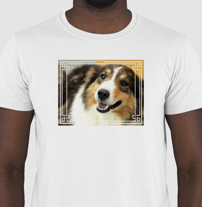 Ovelheiro Gaúcho - Color 4