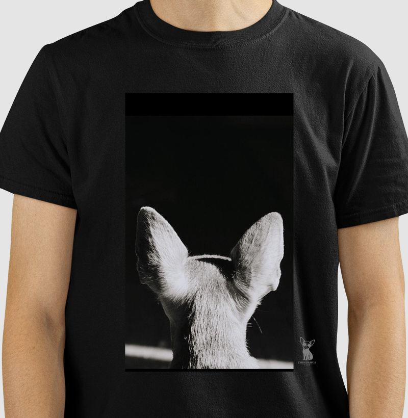 Chihuahua 