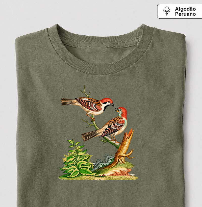 Camiseta Pássaros — História Natural do Século XVIII