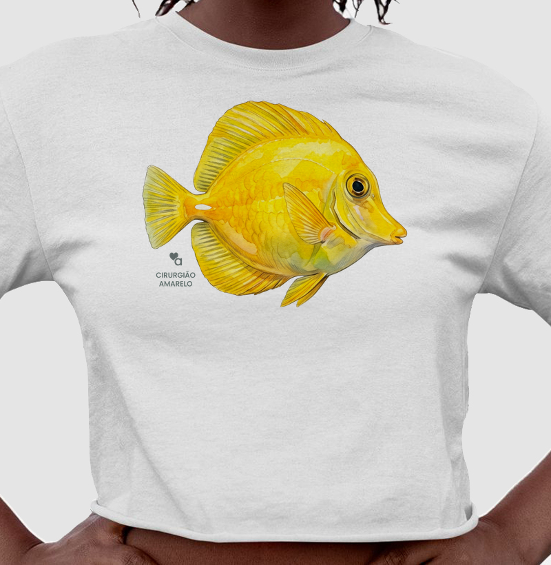 Peixes -  Cirurgião-amarelo - Cropped