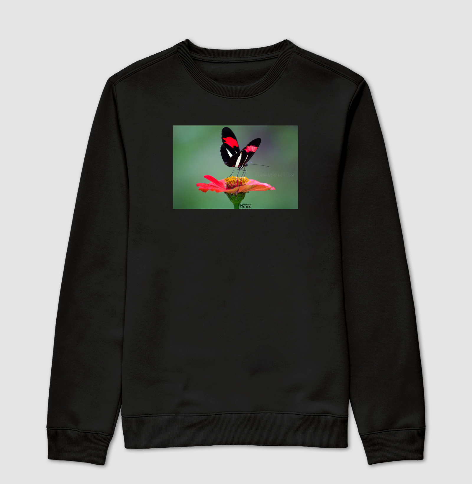 Estampa - Natureza