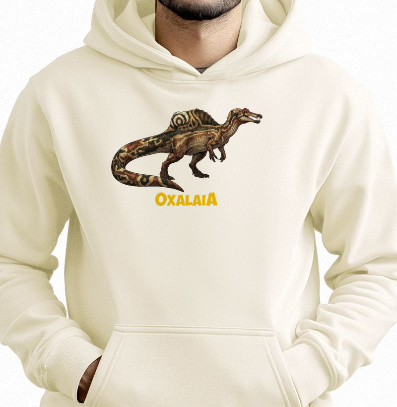 Blusa Dinossauro Moletom Oxalaia Algodão Premium Dinoloco