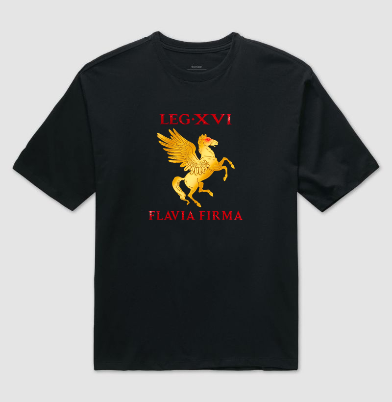 LEGIO — XVI Flavia Firma - II
