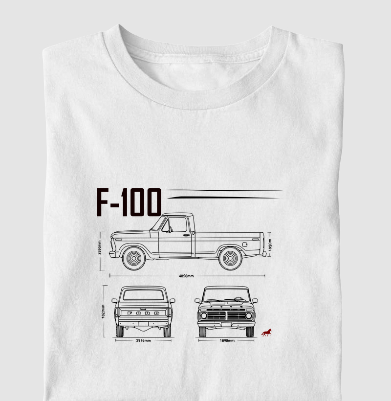 Blueprint F-100