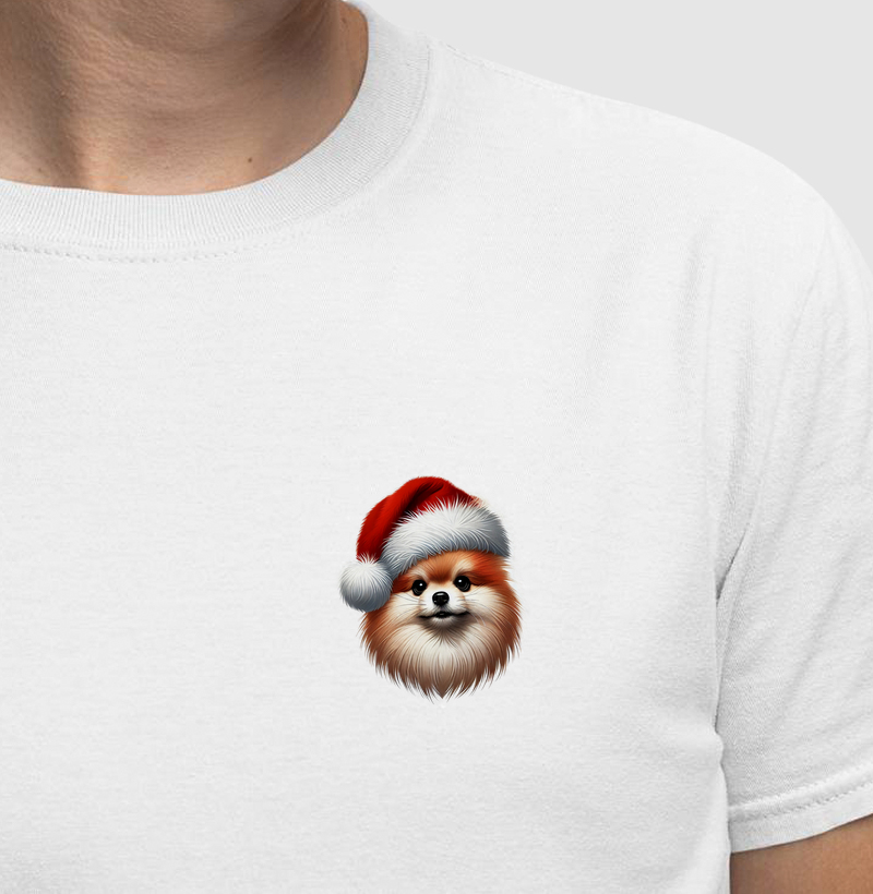 lulu da pomerania spitz alemão - Dog Noel