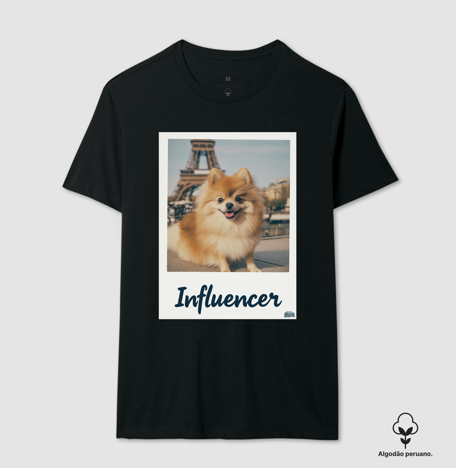 Influencer