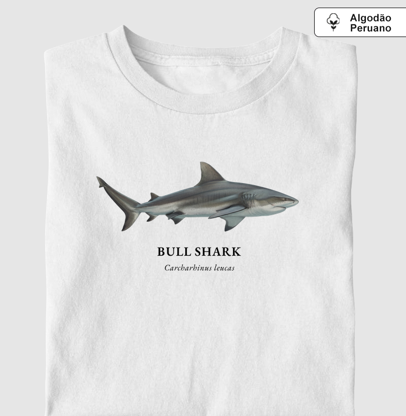 Bull Shark