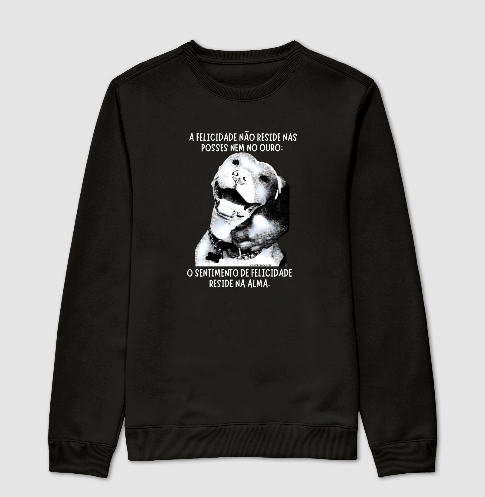 A FELICIDADE NÃO RESIDE NAS POSSES NEM NO OURO: O SENTIMENTO DA FELICIDADE RESIDE NA ALMA.