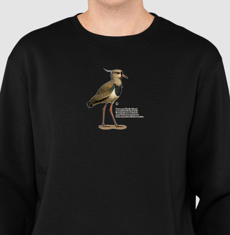 Quero-quero - Ave Símbolo do RS