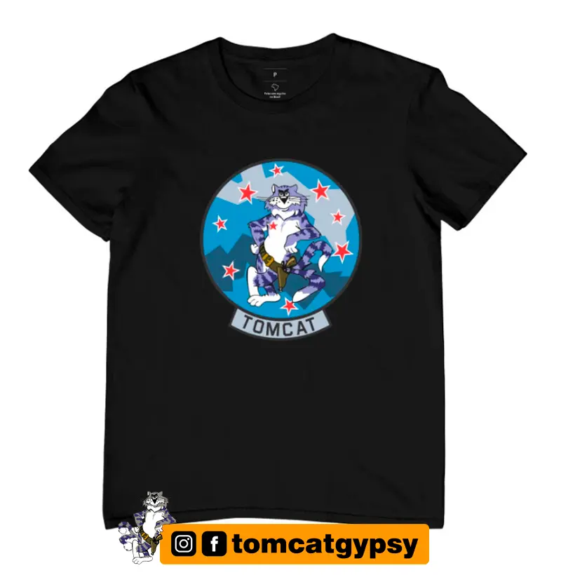 F-14 Tomcat - Adversary 