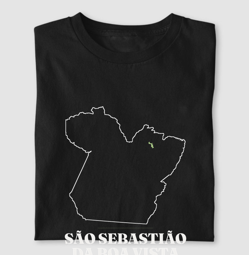 São Sebastião da Boa Vista | Traço PA