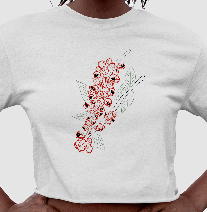 Guaraná II