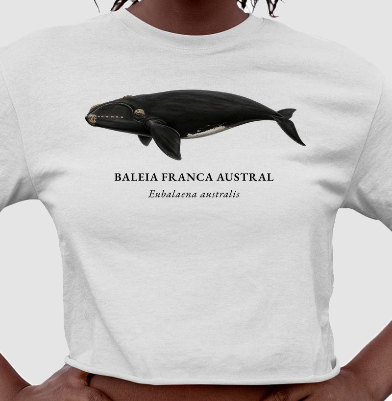 Baleia Franca Austral - Cropped