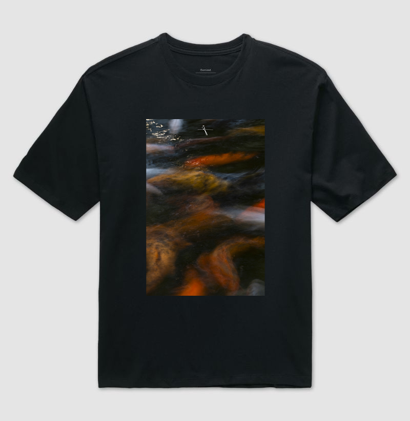 Koi #02