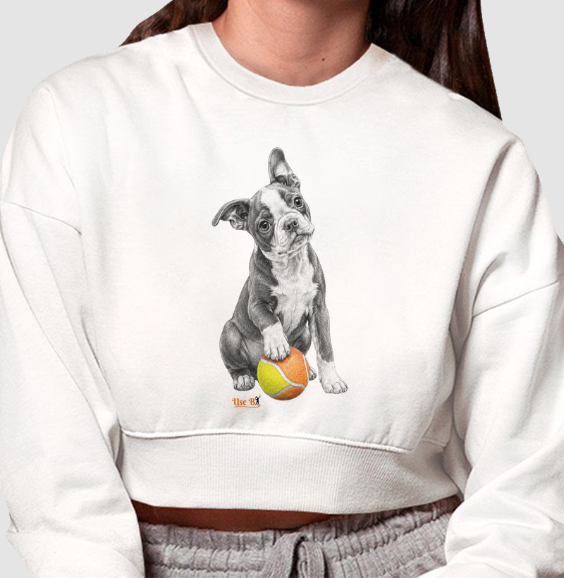 Boston Terrier do Beach